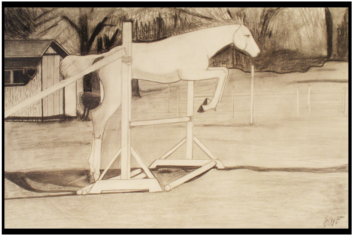 Realistic Charcoal Drawing of a Horse