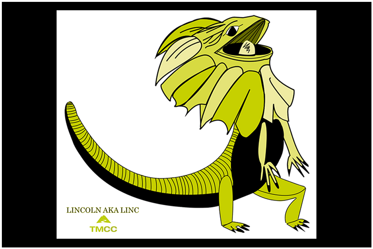 Graphic Design Mascot Logo