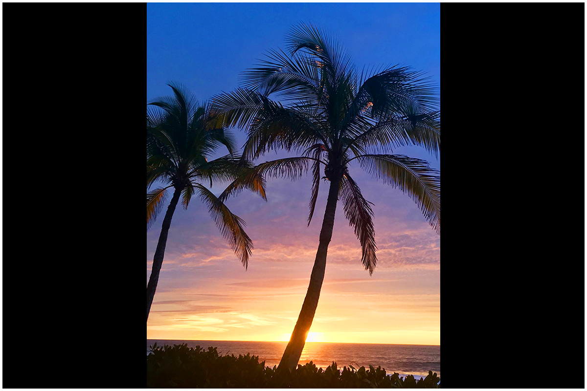 Hawaiian Sunset with Palm Silhouettes