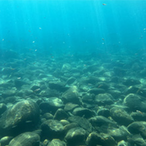 Tahoe rocks and water
